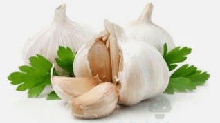 Garlic is the mushroom